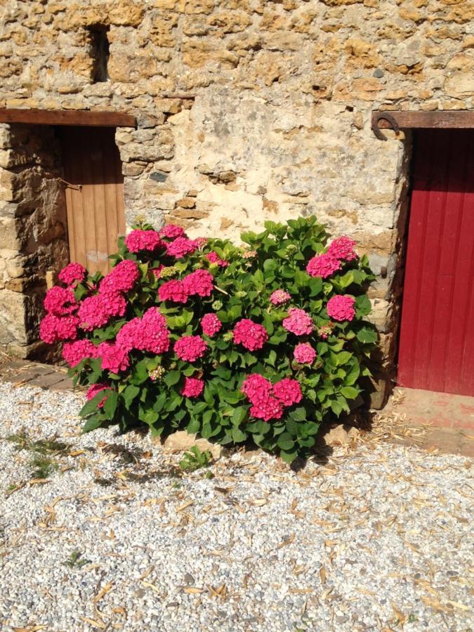 Le Clos De La Viniere Жар-сюр-Мер Экстерьер фото